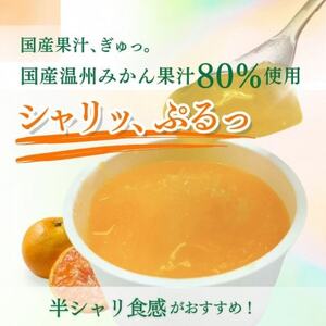 とくれん プデナーオレンジ80(70g×24個入)【配送不可地域：離島】【1657959】