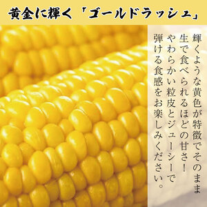 とうもろこし 米 セット ゴールドラッシュ 5本 約 2kg コメ 2合 お米 アキサカリ ごはん 先行予約 えがおセット トウモロコシ コーン スイートコーン 甘い とうもろこしご飯 レシピ付き 期間限定 夏 旬 野菜 鍋 炒め物 煮物 スープ 弁当 惣菜 おかず 健康 新鮮 国産 送料無料 吉野川市 徳島県