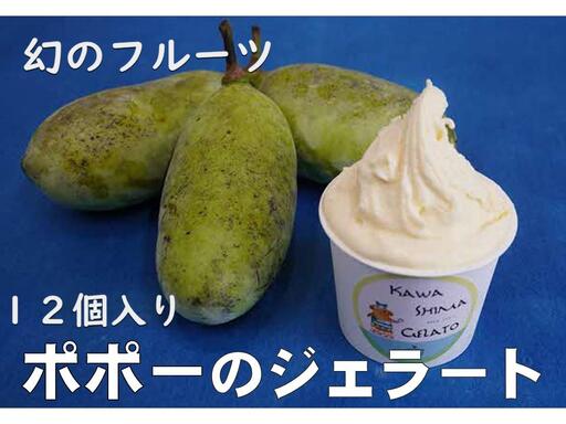 川島ジェラート かわしまポポー 【12個1箱セット】 ジェラート