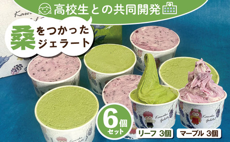 川高 ジェラート 6個 詰め合わせ マルベリー マーブル・リーフ 各3個