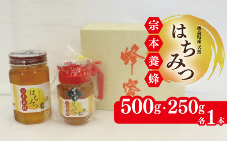 はちみつ 化粧箱入  セット 500g 250g 各1本 蜂蜜