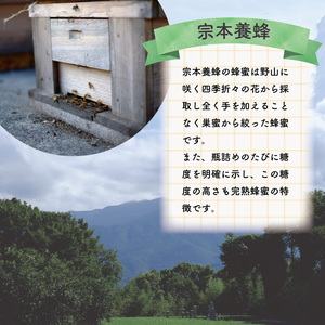 はちみつ 化粧箱入  セット 500g 250g 各1本 蜂蜜