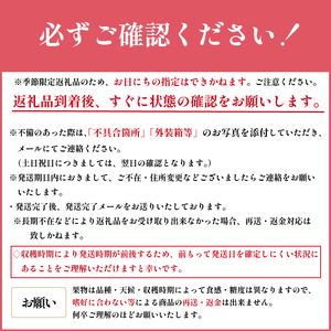 いちご 紅ほっぺ 4パック 苺 イチゴ あんいちご園 いちご いちご いちご