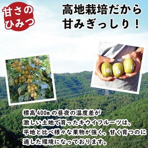 ゴールドキウイ 2.1kg イエロージョイ 2026年11月上旬~ キウイ