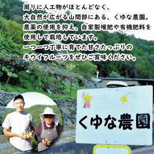 ゴールドキウイ 2.1kg イエロージョイ 2026年11月上旬~ キウイ