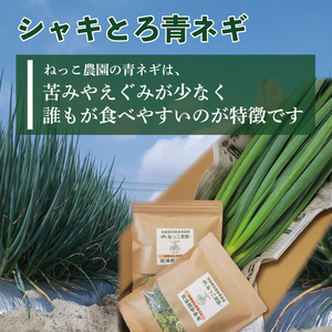 【 シャキとろ青ネギ 】 2kg 4月から5月発送 