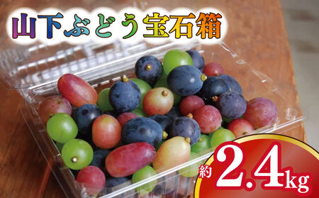 ぶどう 詰め合わせ 計2.4kg (600g × 4パック) ぶどう宝石箱 2025年 発送 山下農園 ぶどう ぶどう ぶどう