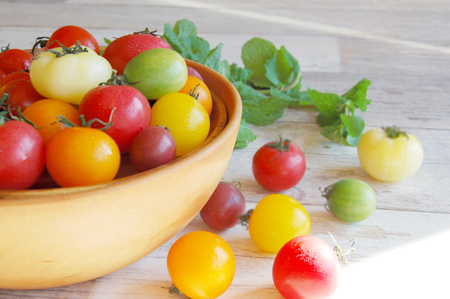 【 カラフルトマト 】 ミディ & ミニトマト 2kg (250g×8袋)