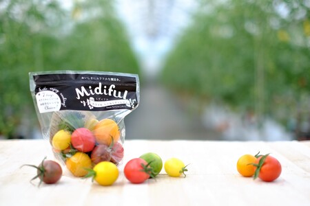 【 カラフルトマト 】 ミディ & ミニトマト 2kg (250g×8袋)