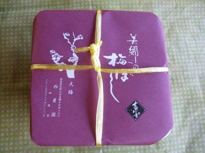 梅干し 1kg 大梅 梅干し うめぼし