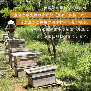 天然はちみつ「百花蜜」ボトル500g ハチミツ 蜂蜜
