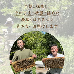 天然はちみつ「百花蜜」ボトル500g ハチミツ 蜂蜜