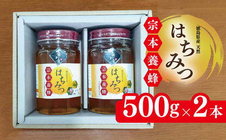 はちみつ 化粧箱入 500g×2本 蜂蜜 ハチミツ