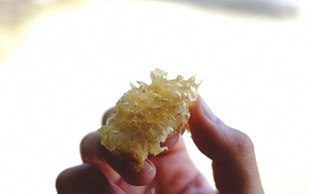 はちみつ 化粧箱入 500g×2本 蜂蜜 ハチミツ