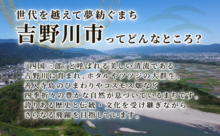 先行予約 美郷の小梅干1kg 2025年 11月 ～ 発送予定