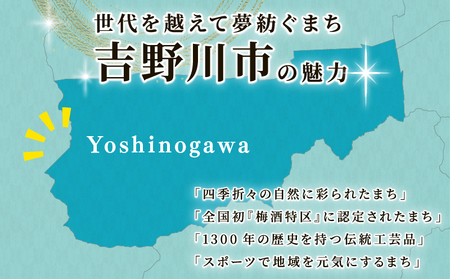 先行予約 美郷の小梅干1kg 2025年 11月 ～ 発送予定