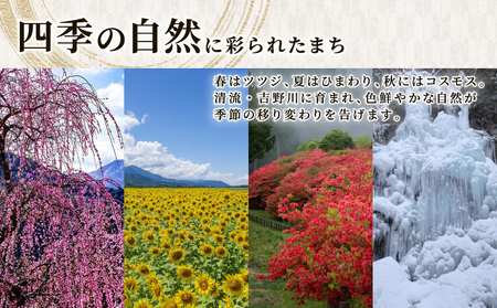 【 つくね 】 北島町 れんこんつくね 6パック