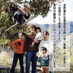 ハード系パン4-5個セット | パンパンパンパン