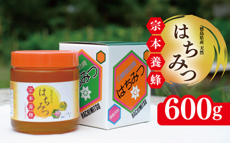 はちみつ 天然 600g 蜂蜜 はちみつ