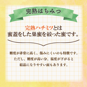 はちみつ 天然 600g 蜂蜜 はちみつ