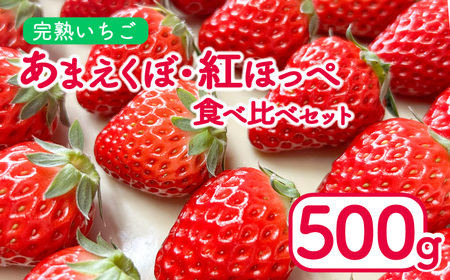 いちご 500g 紅ほっぺ あまえくぼ 食べ比べ セット 2パック 先行予約 苺 イチゴ あんいちご園 いちご いちご いちご