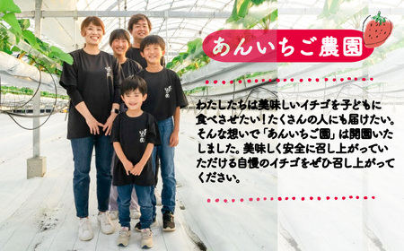 いちご 1kg 紅ほっぺ あまえくぼ 食べ比べ セット 4パック 先行予約 苺 イチゴ あんいちご園 いちご いちご いちご