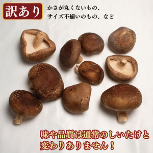 訳あり しいたけ 1kg （ 250g × 4袋 ） 先行予約 しいたけ 生しいたけ 焼きしいたけ 菌床しいたけ シイタケ