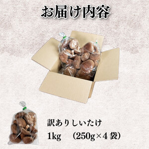 訳あり しいたけ 1kg （ 250g × 4袋 ） 先行予約 しいたけ 生しいたけ 焼きしいたけ 菌床しいたけ シイタケ