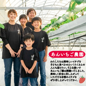 苺ジャム  紅ほっぺ 4本 ｜ ジャム