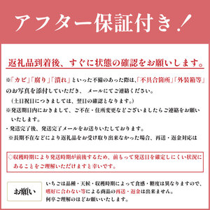【 紅ほっぺ 】 540g 紅ほっぺ 3月～順次発送 苺 いちご