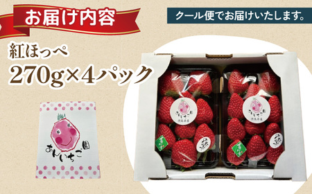 紅ほっぺ 1080g 苺 いちご 3月 ～ 順次発送 いちご