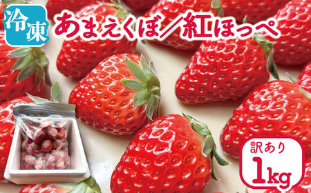 訳あり いちご 冷凍 苺 1kg いちご いちご いちご いちご いちご