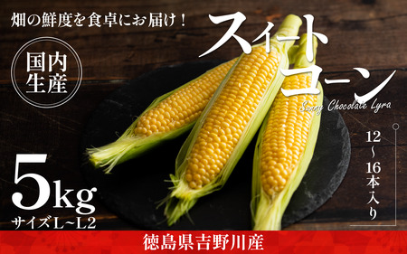 徳島県産朝ドリとうもろこしサニーショコラライラ予約ページ とうもろこし サニーショコラライラ 5kg 12～16本 極甘 スイート
