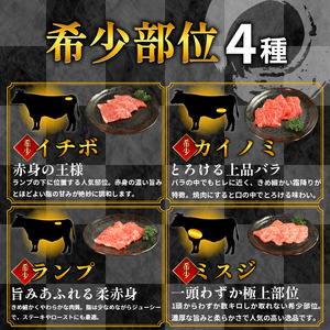 【 焼肉セット 】 牛肉 おまかせ 5種 国産和牛 焼肉セット