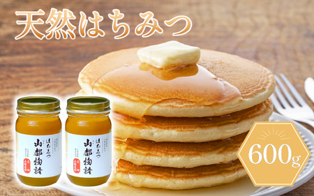 はちみつ 300g×2 600g 国産 蜂蜜 ハチミツ