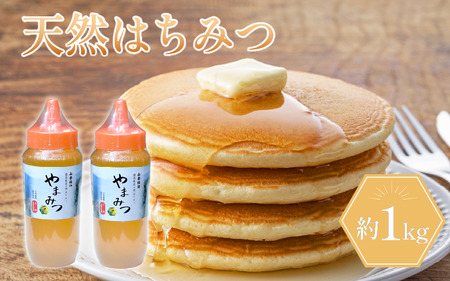 はちみつ 約1kg 国産 蜂蜜 ハチミツ 【 はちみつ 】