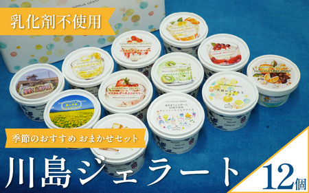 【 ジェラート 】  120ml 12個 セット 詰め合わせ おまかせ