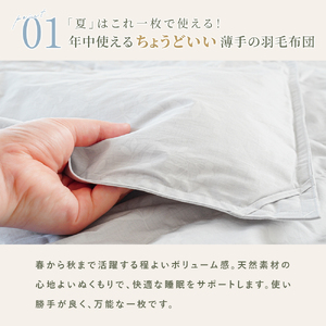 掛け布団 色(グレー) ダウン90% 0.25kg入り エコテックス認証 羽毛肌 掛け布団 シングル ロング