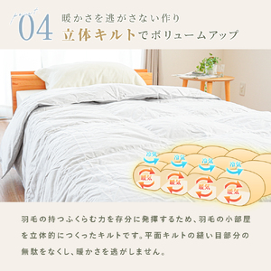 掛け布団 色(グレー) ダウン90% 0.25kg入り エコテックス認証 羽毛肌 掛け布団 シングル ロング