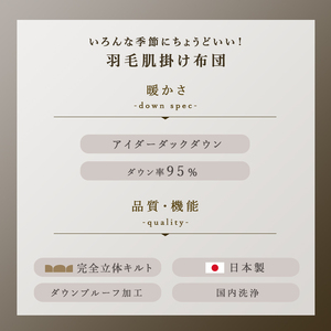 掛け布団 色（ブルー） アイダーダウン95% 0.3kg入り 羽毛肌 掛け布団 シングル ロング 夏掛け布団 布団カバー 布団干し 羽毛布団