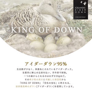 掛け布団 色（ブルー） アイダーダウン95% 0.3kg入り 羽毛肌 掛け布団 シングル ロング 夏掛け布団 布団カバー 布団干し 羽毛布団