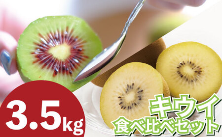 訳あり キウイフルーツ 食べ比べ 3.5kg 先行予約 2026年10月上旬～ キウイ