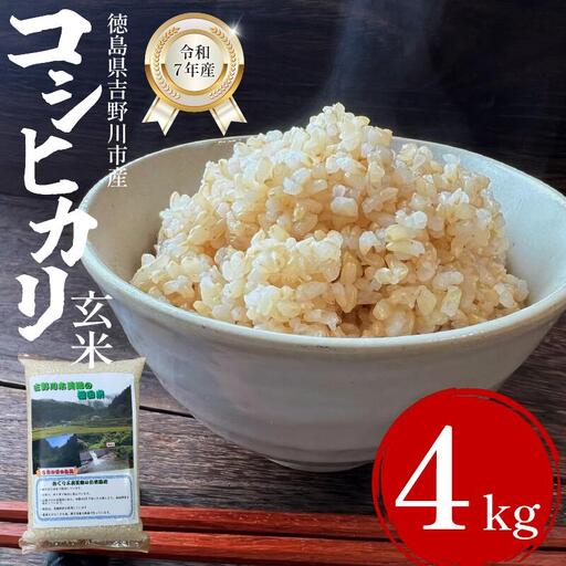 米 玄米 4kg （2㎏×2袋） コシヒカリ 令和7年度産