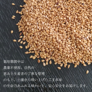 ごま 35g×5個 金胡麻 ごま