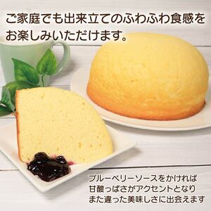 お得な5㎏パックです】ブルーベリーチーズケーキ 人気！+250g 【公式
