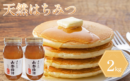 はちみつ 2kg 1kg×2 国産 蜂蜜 はちみつ