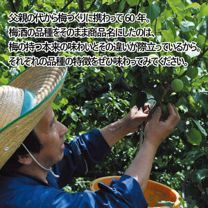 梅酒 飲み比べ 3本 セット 【 梅酒 】