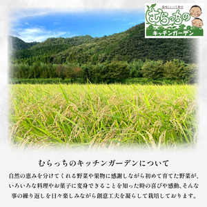 【 令和7年産 】 米 玄米 2kg 『 アキサカリ 』