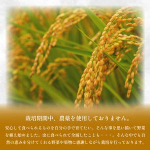 【 令和7年産 】 米 玄米 2kg 『 アキサカリ 』