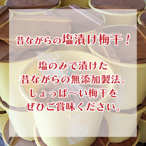 梅干 大梅 小梅 各480g 《 2025年10月~出荷 》 梅干